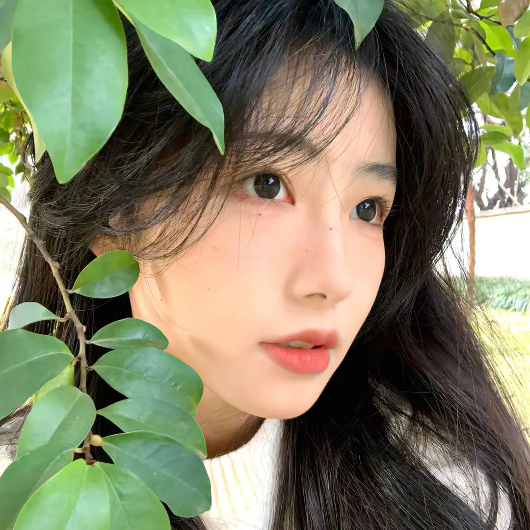 河口的圣诞节